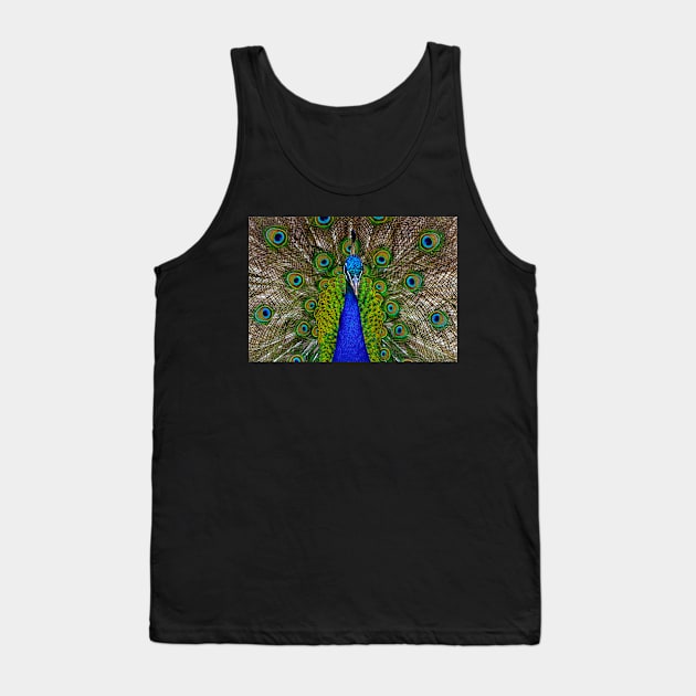 Peacock Tank Top by LaurenGalanty